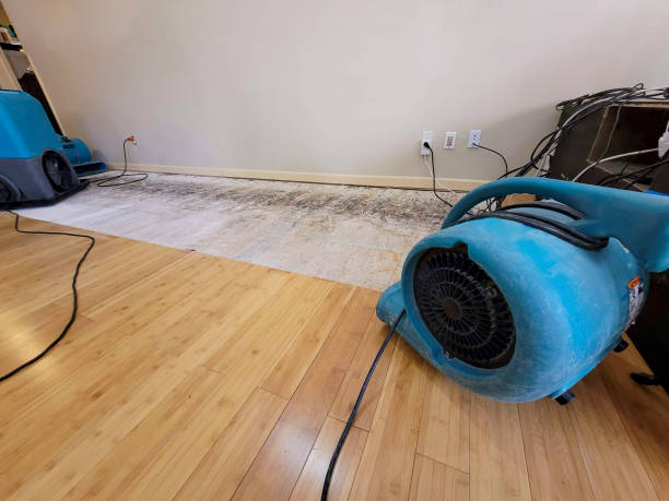 Professional Burst Pipe Water Damage technician working in Jessup, PA